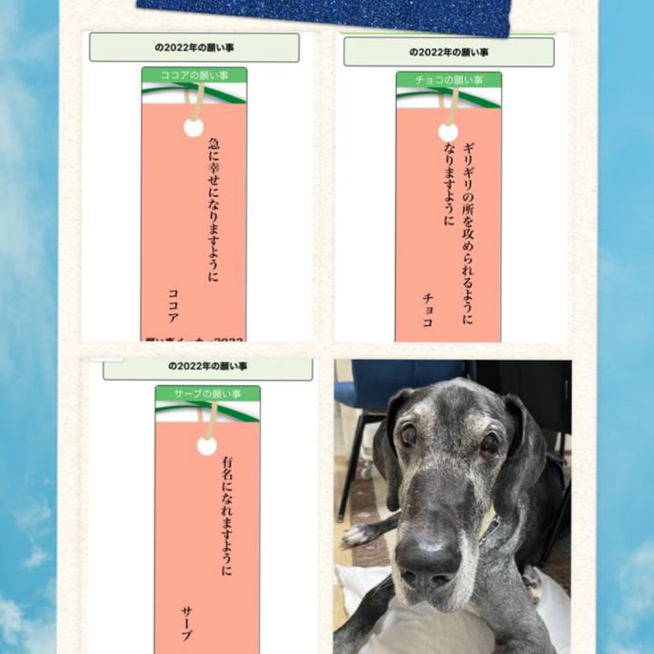 1ec3b900 f416 48bc 9401 e0a53b293da0 1657141849272