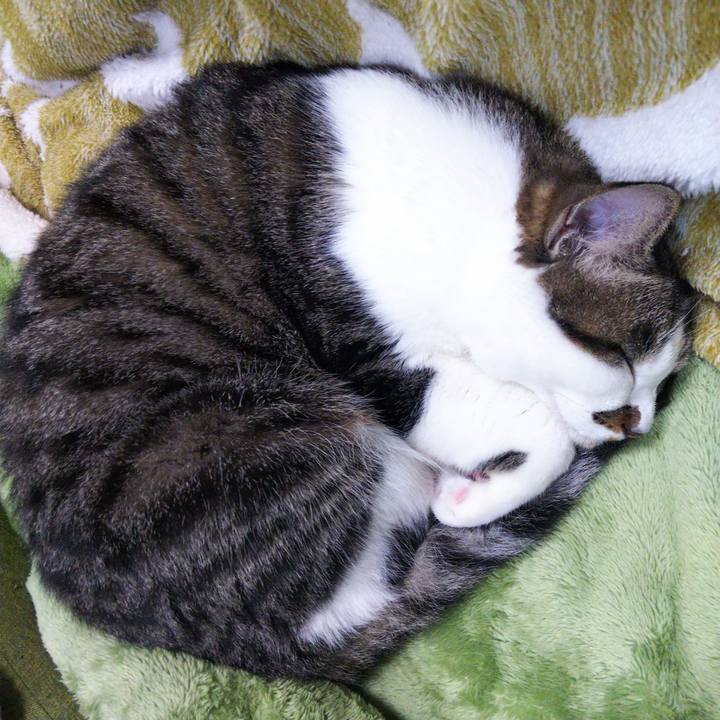 1ec3ca07 6b9a 4dc2 a261 3c153652a8f6 1654761874637