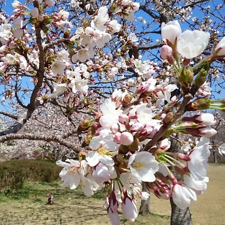 1ec3fe20 8634 4648 8529 3743e2ef8ee2 1522891040431