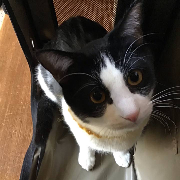 1ec40a00 673f 477d b903 c16c39ae3cae 1645686288410