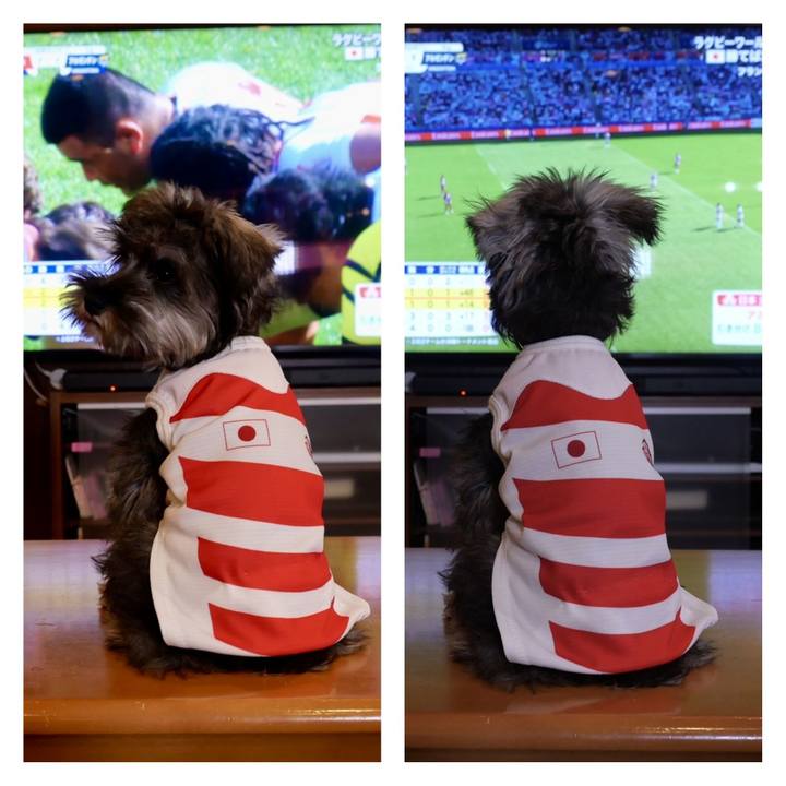 1ec41360 2a29 431d a562 15e6f0e8ad46 1696765312418