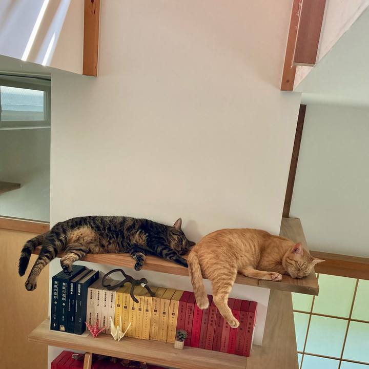 1ec41a76 62a2 4661 9f1c 432104b66da1 1725713408322