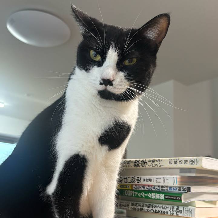 1ec41dc4 8455 4235 8068 62132c9a6296 1758588224553