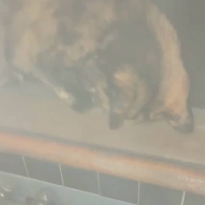 1ec45d1f a156 4404 a7cb c5be5944daba 1767471951222