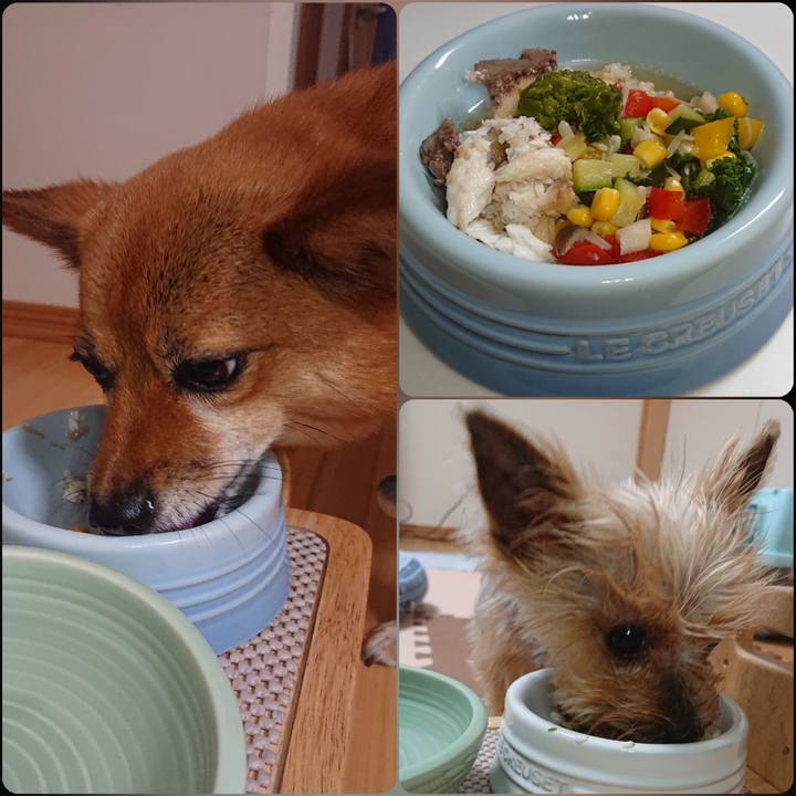 1ec48e4b a69c 4c84 9124 977f2e3c296b 1593346584622