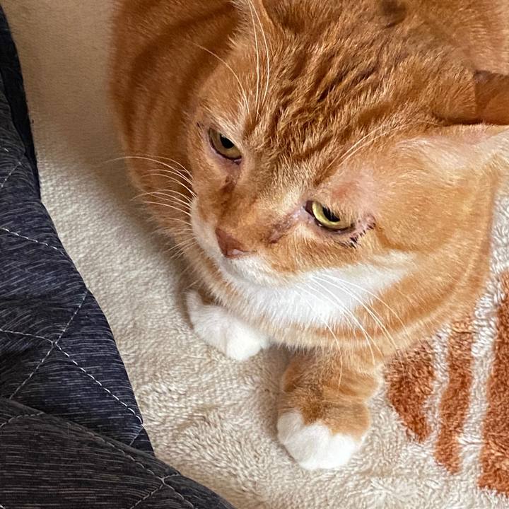 1ec49b9d 2c0d 47b1 bac3 ee584c289438 1576367689716