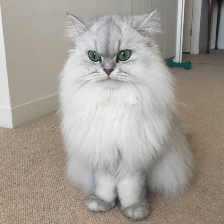 1ec4fae8 3f54 4ceb a2c7 3bbdb821c35c 1511584179362