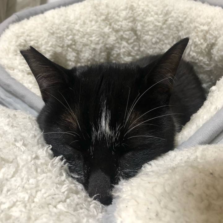 1ec53064 2b25 49df 89bd b5ca7772d9a6 1587778731274