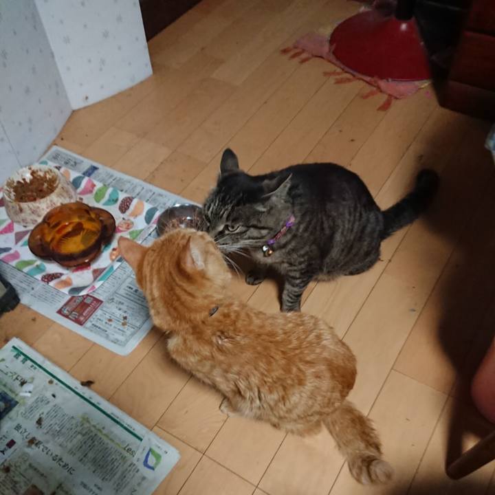 1ec531f5 f3dc 4785 a46f dc5b8c903cb6 1653894863382