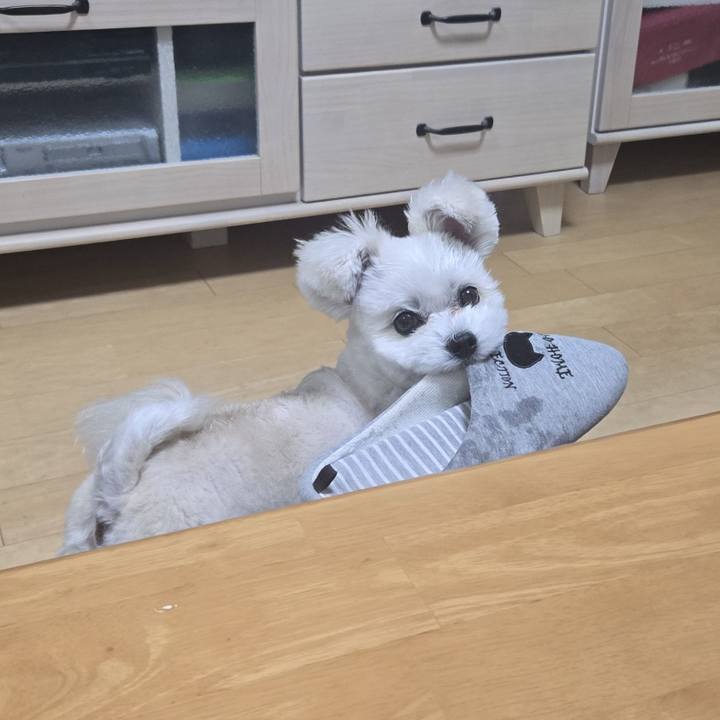 1ec543bf 354e 4061 ab9d 0720b001bd9c 1763650400644