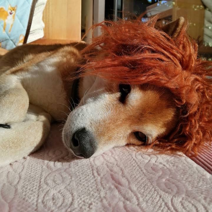 1ec54ddb 2775 420e add7 217d648ba6ed 1674884365888