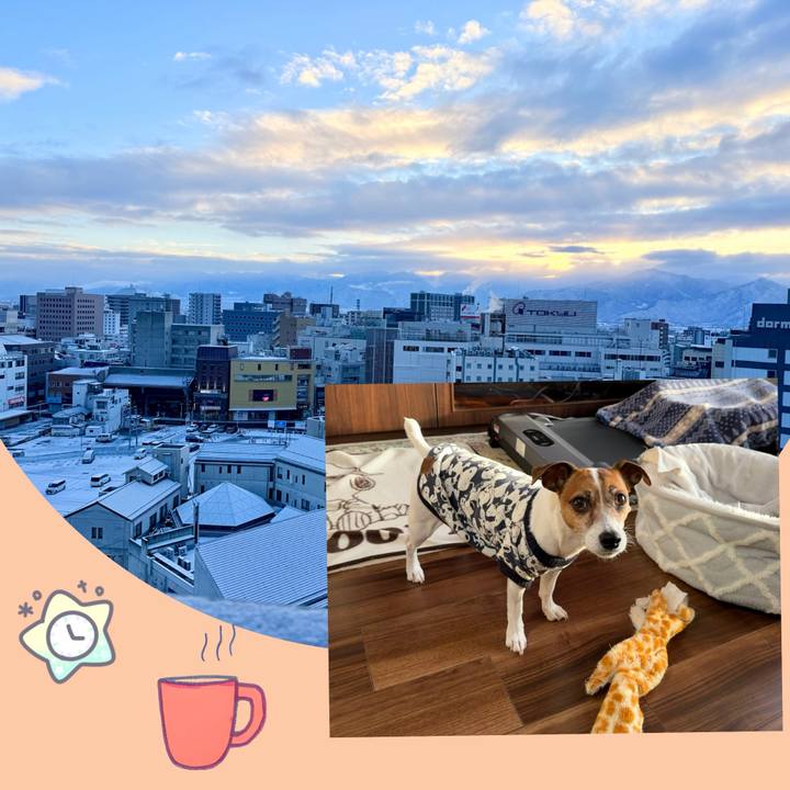 1ec56ef4 53aa 4721 aa50 0412fec2c4eb 1770504250680