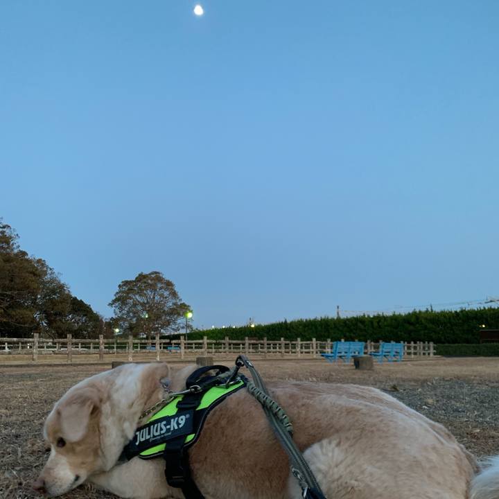 1ec57398 7689 489b 9960 cb0f7dee671c 1550417464895