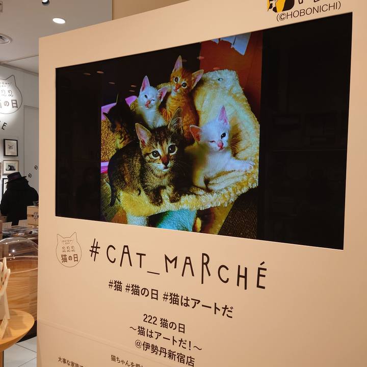 1ec5b713 e1e3 4994 9458 0785b80b1505 1645785690801