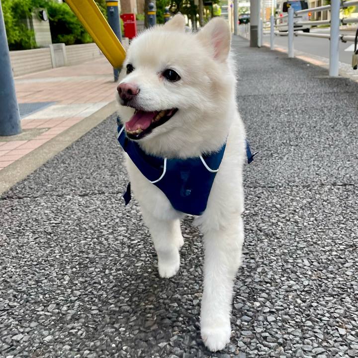 1ec5c63d 83b4 4197 8eb3 782d03f6d9ba 1758619399590