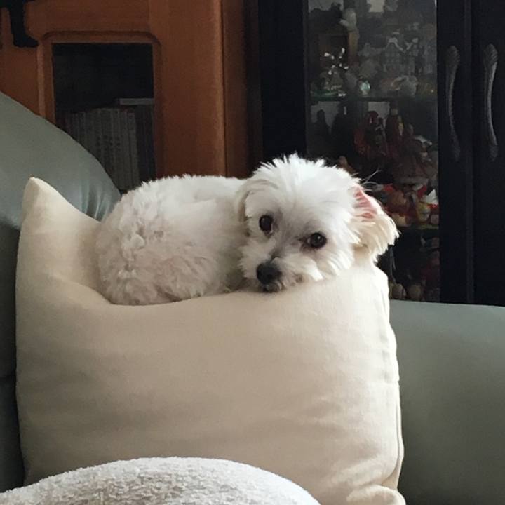 1ec5e553 2655 427e b7b9 37229b4fc554 1565661874140