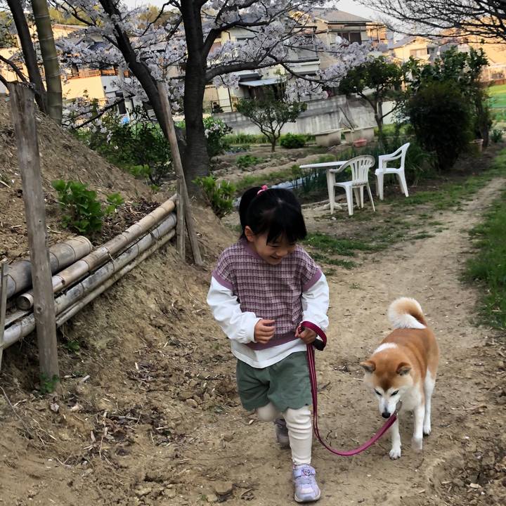 1ec61fca 5205 461c 8e07 8402f0a1f421 1680173413400