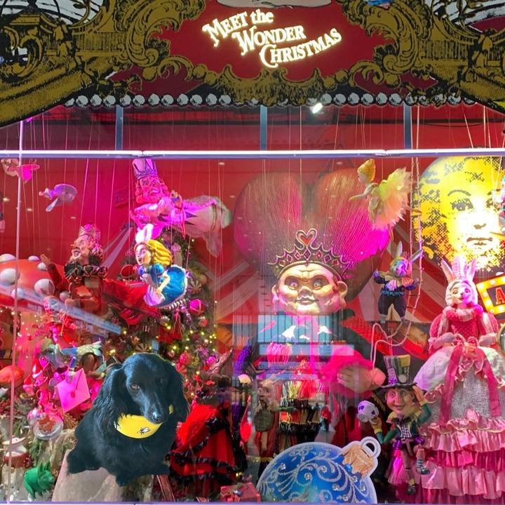 1ec63cfe b266 4360 81ef 04ab7b4d13dc 1734776912747