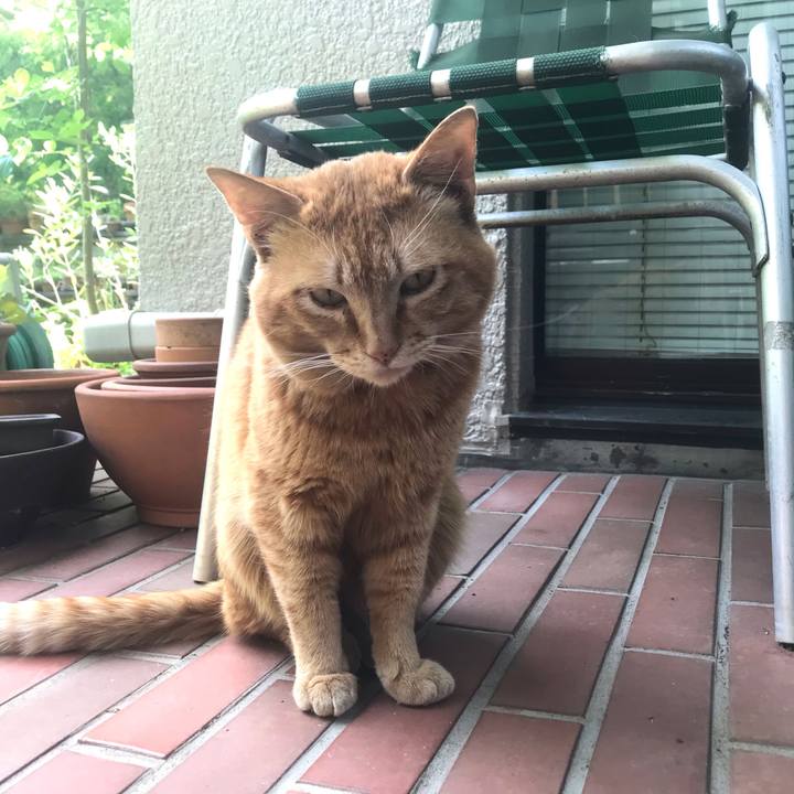 1ec63e4b 8030 4a2a 85ef 8670a41e999f 1620106712033