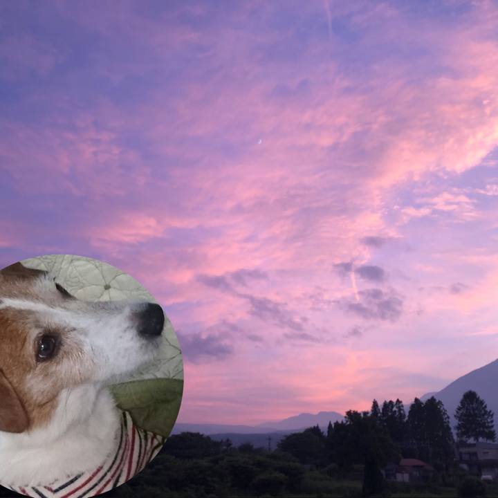 1ec65407 8dab 49ee 96c5 2282cf148e2d 1531827576731