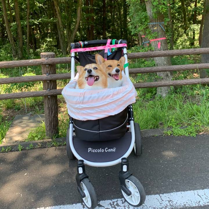 1ec66883 35c2 4b9d b3cd 1e1581566dd8 1716005132728