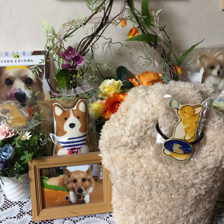 1ec69a6c 4307 4f65 99b7 be4eb1a39e45 1571059344086