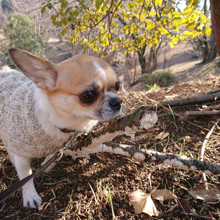 1ec6e292 ddf8 4a7f 9b0d 57885bf46e91 1611230856720