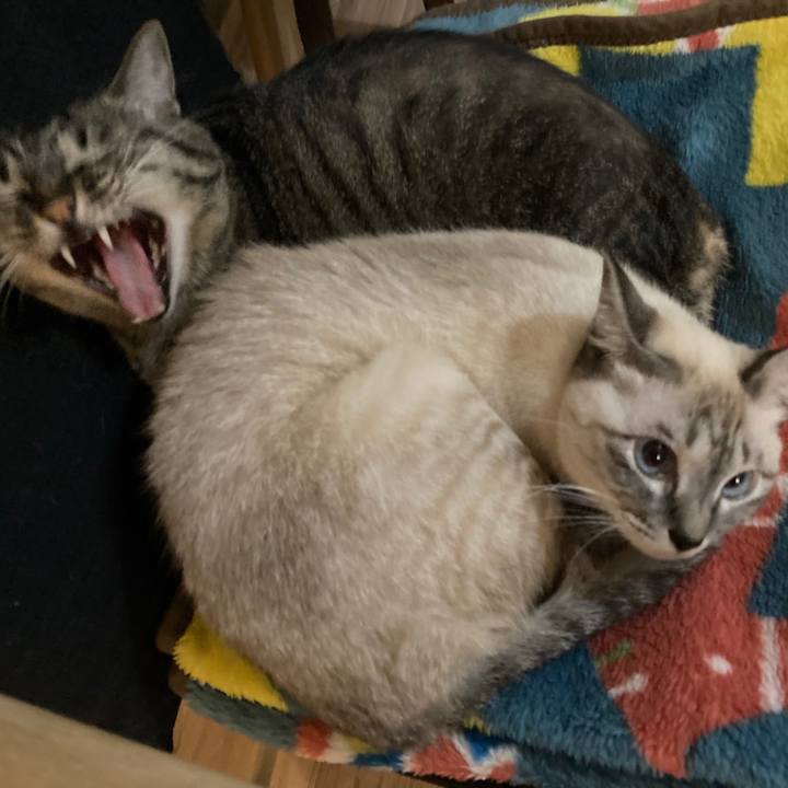 1ec7260b 9a36 477e 85ca c5c7f8978746 1603361289603