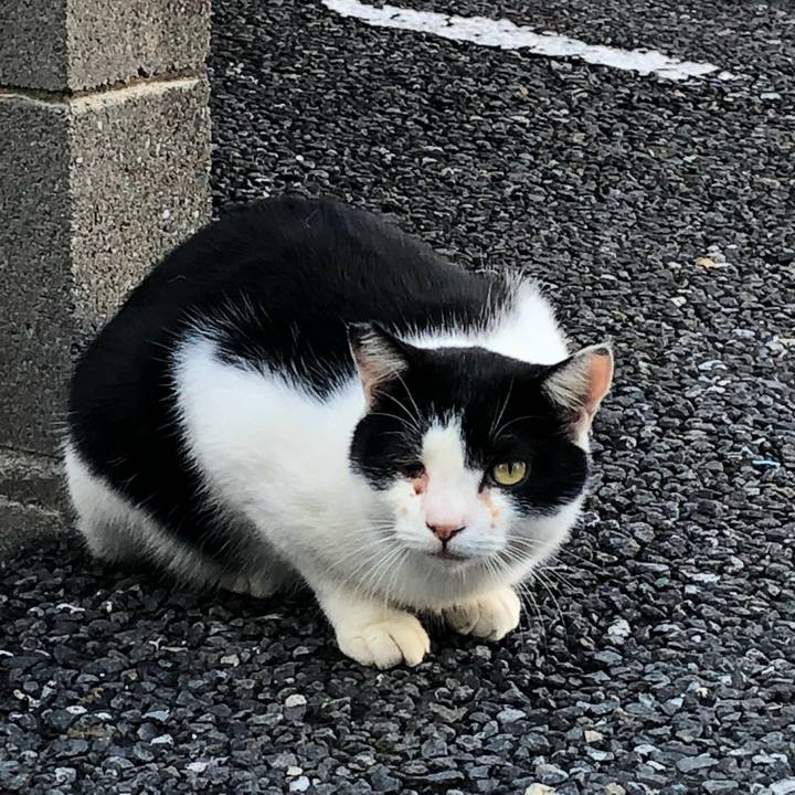 1ec73384 6a36 4328 8461 a8c42b15aa19 1540787979712