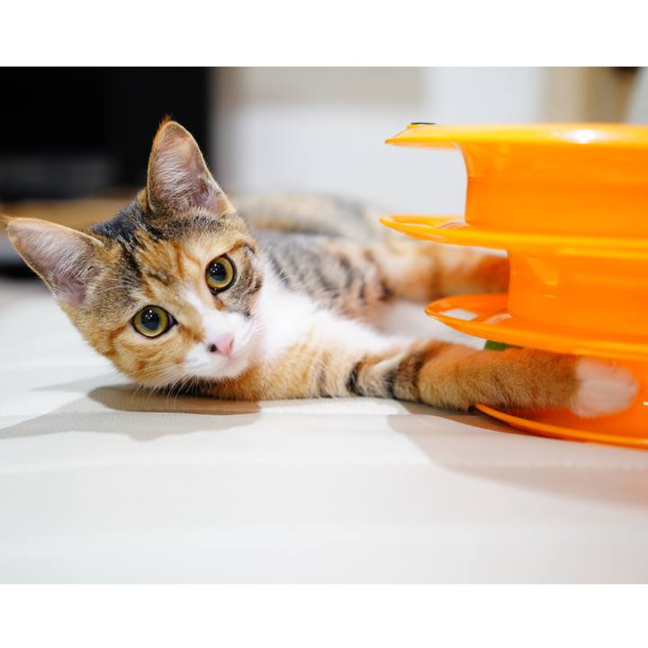 1ec74d54 9f9c 4512 bae2 c8095605d9b9 1576222601740