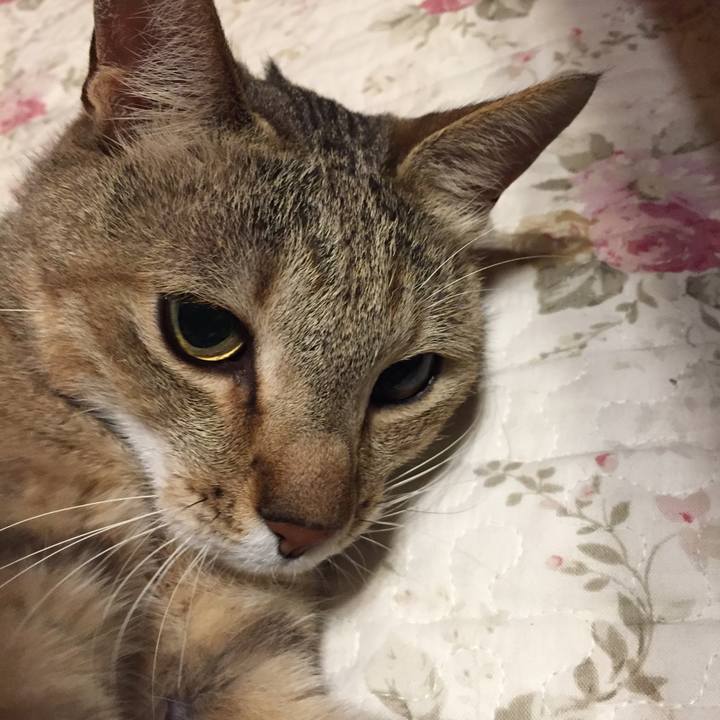 1ec7666d 1f5e 447f 9473 ef7c88290bfa 1562793543021