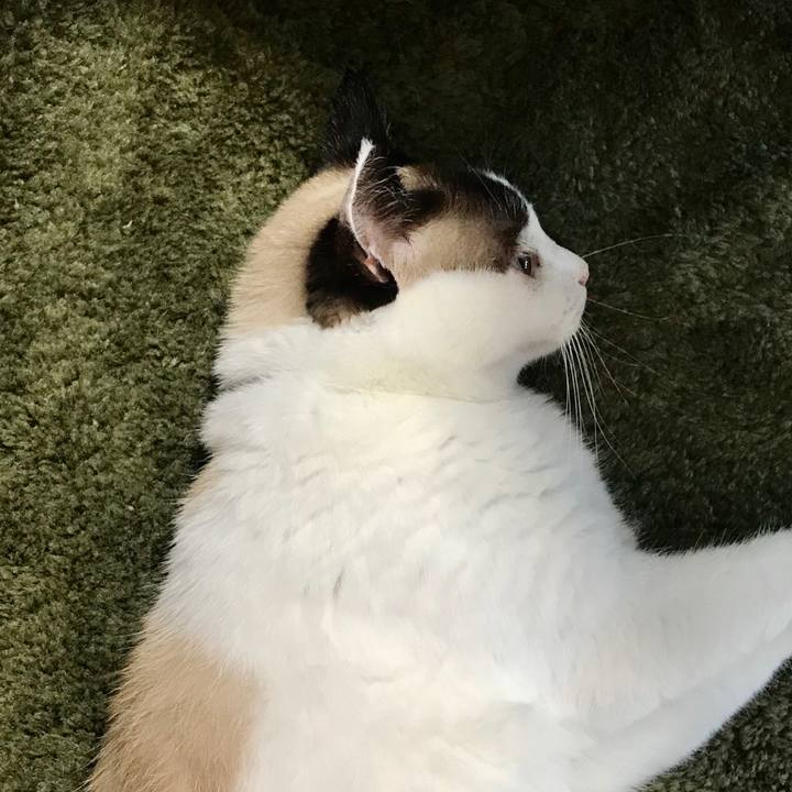 1ec76be0 6316 4a23 90da 59d2e446c3e7 1593658178243