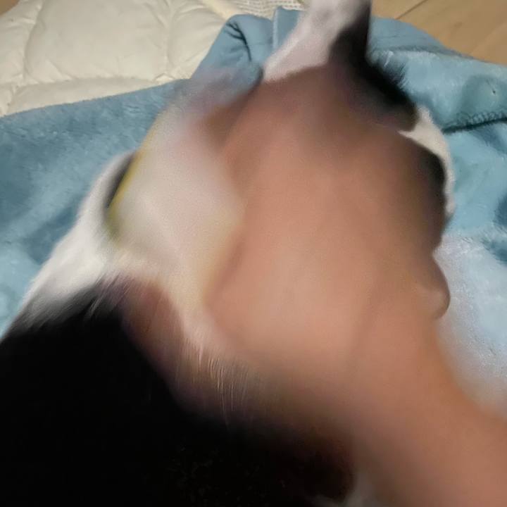 1ec77d7f c7aa 478d 8020 d95be2cf138c 1622140174639