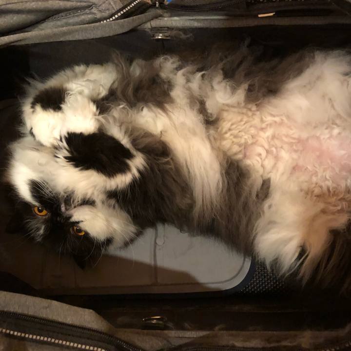 1ec79ec5 2369 41eb 9706 7d06f0c1ce76 1537100993286