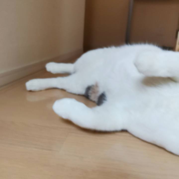 1ec7b6af bbf6 424a 8ae6 9fd002dd1ce1 1649822850108