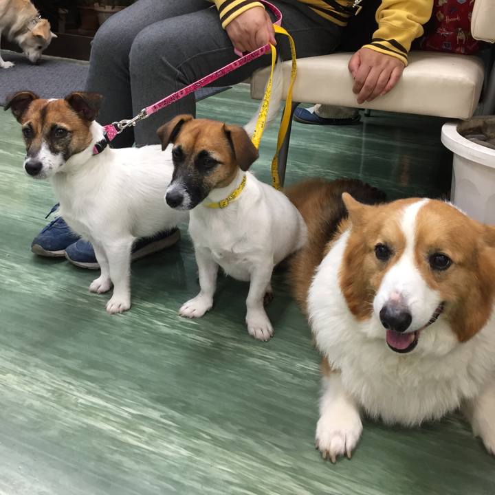 1ec7cc01 c241 4a9a b31b f8aa7a1b340d 1507983764429