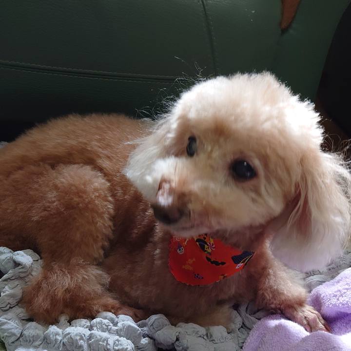 1ec7dafb 901b 40ce 99eb 506eaef4c06f 1697949600733