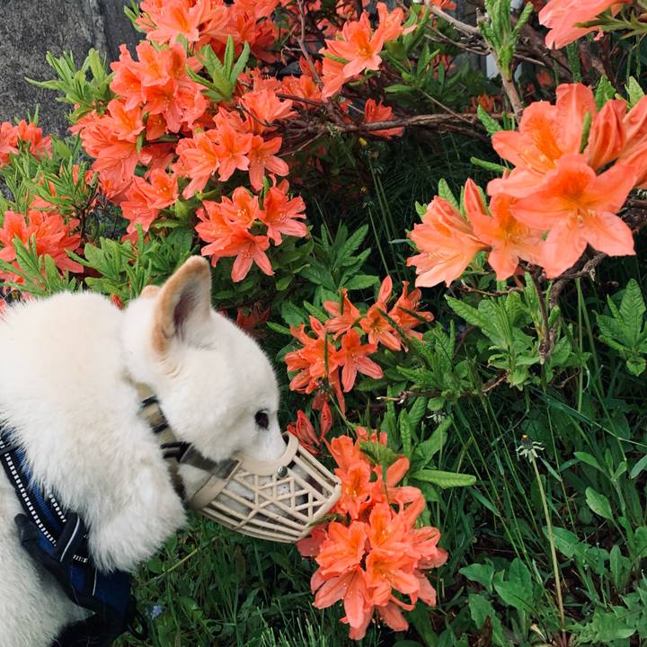 1ec7e317 1cd6 43eb b65d c8612c09c2f1 1622234123728