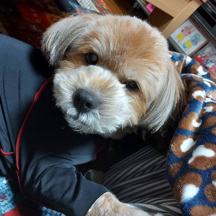 1ec810eb ec44 468c 8ed2 655369732883 1650369860212