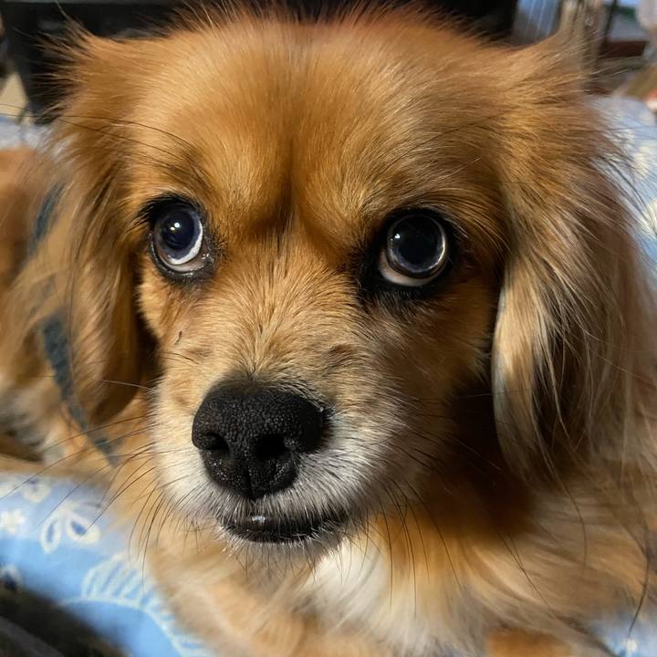 1ec848e6 ae12 41a3 8415 f552a9b4a960 1610143134456