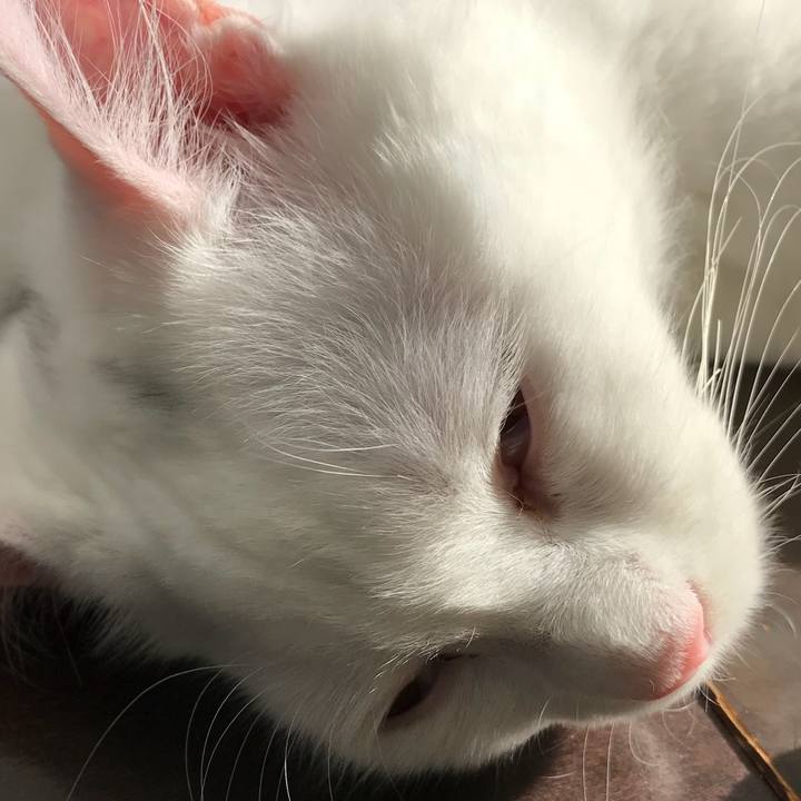 1ec865f8 e0e3 4978 be63 bbd334bec374 1518608260853