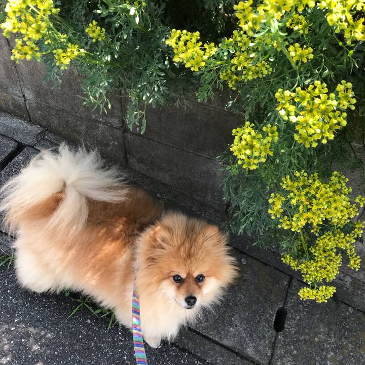 1ec8ac85 8dbf 40b7 af43 bc4a7b50728c 1526001946796