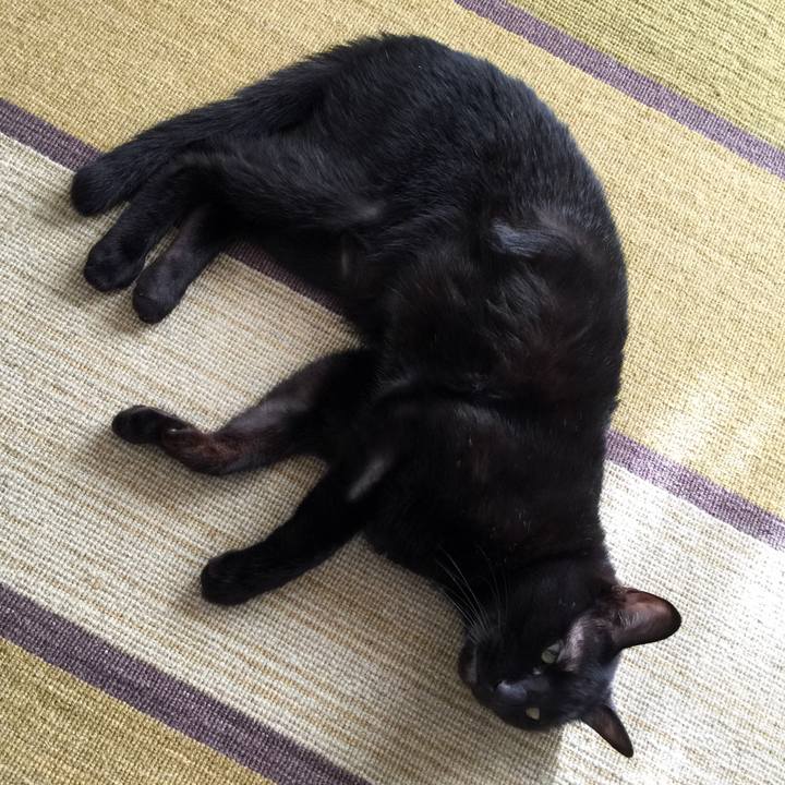 1ec8b36f fb14 48c0 a509 ef62ae76f39f 1530436875046