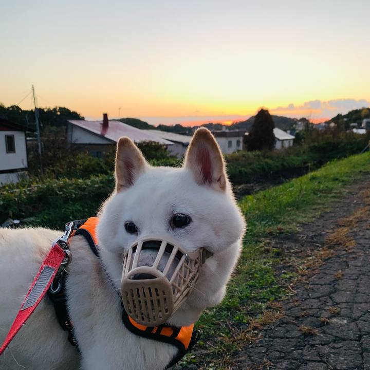 1ec8c5dd a2d1 4a3e b624 109ef1f2337e 1633729733547