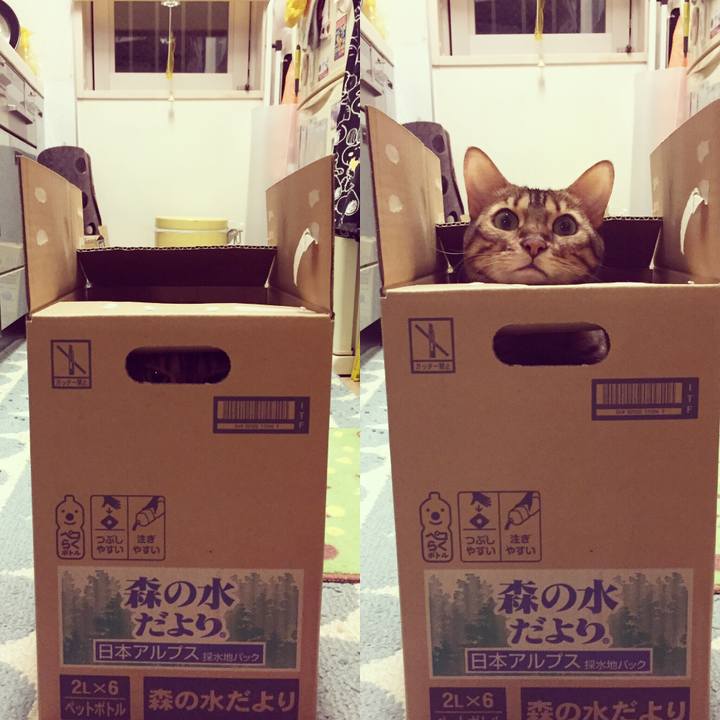 1ec8cc36 0913 4fd8 9ff3 56b4b7399bcb 1538348816124