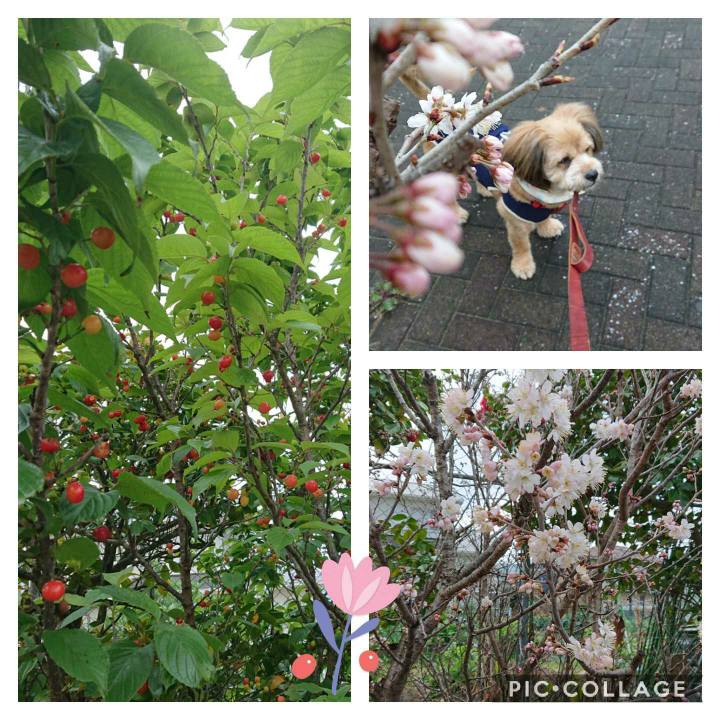 1ec8de53 bb6c 4906 b235 fd1b3abf2218 1588635003745