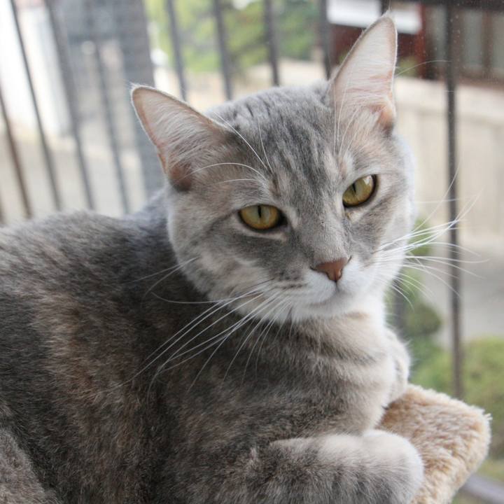 1ec8e39c bdbe 4f1e 9446 41097c1643d5 1510460627413