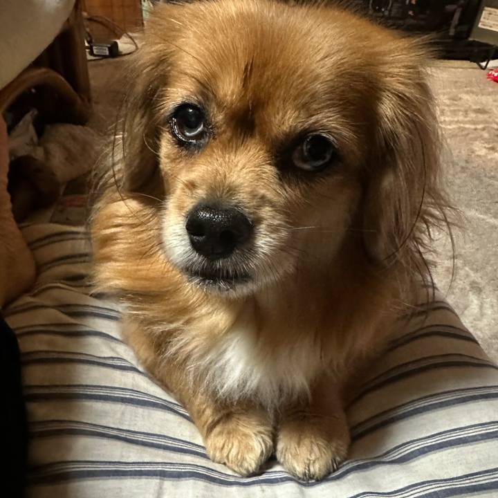 1ec8e54e 1681 408d 99ca e54ccbf2a9a9 1702243244975