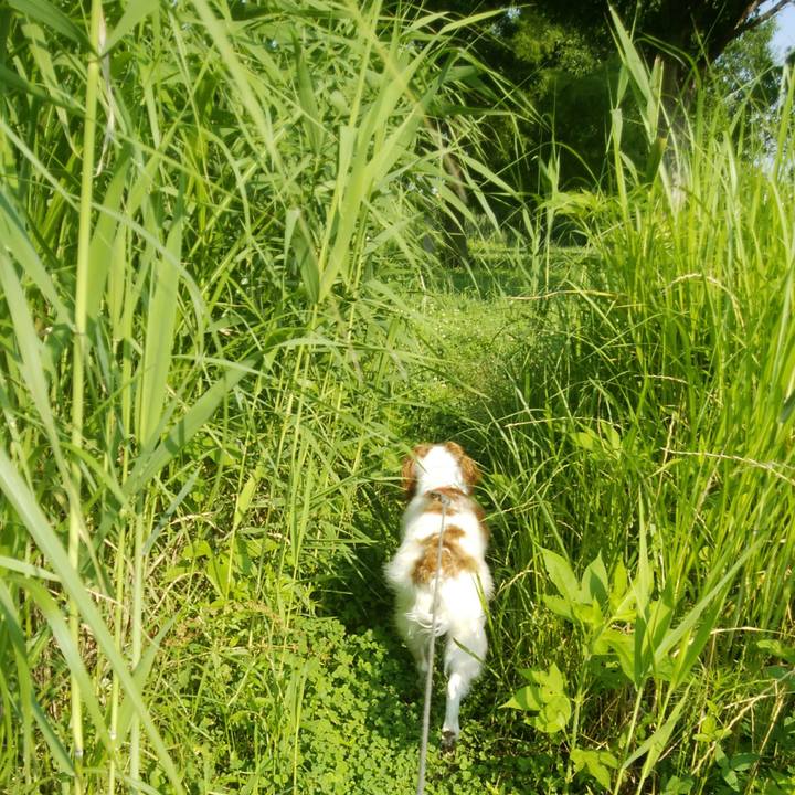 1ec911ac d5dd 4d50 b0cd bd5ce30b9b13 1529972411074