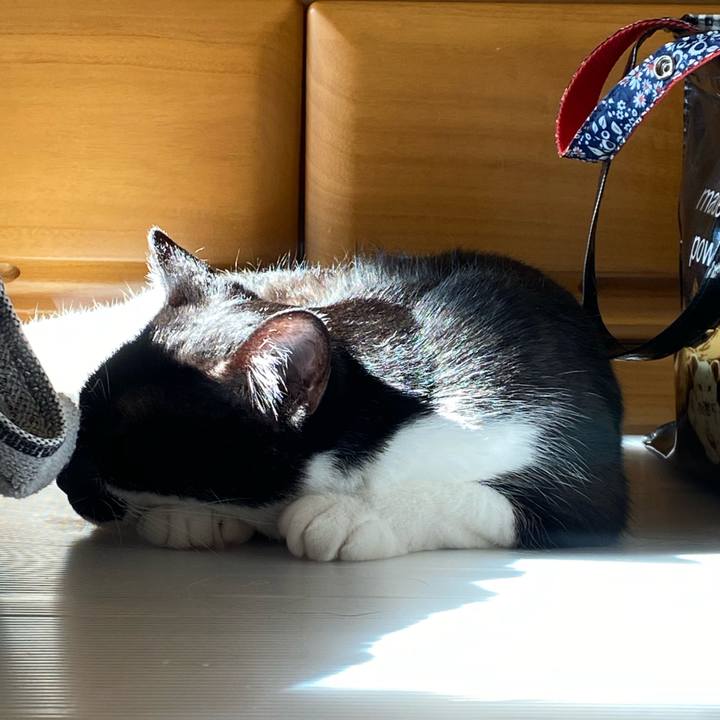 1ec91f38 011d 4827 8832 d766d3e456e6 1607177850351